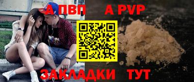 гашик Донецк