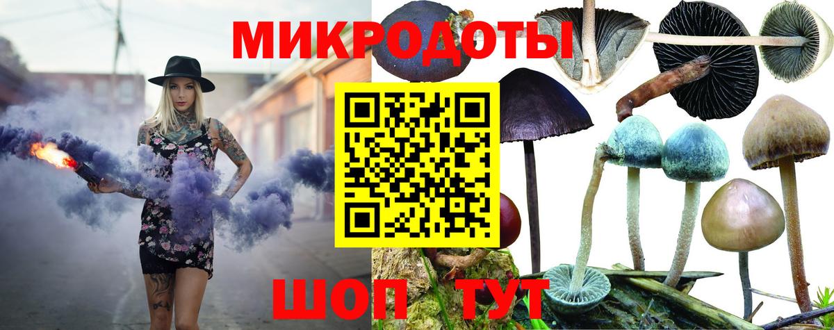 Псилоцибиновые грибы ЛСД Мончегорск